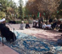 برگزاری  مراسم قرائت زیارت پر فیض عاشورا در جوار مزار شهید خوش همزمان با سومین روز از هفته جنگ